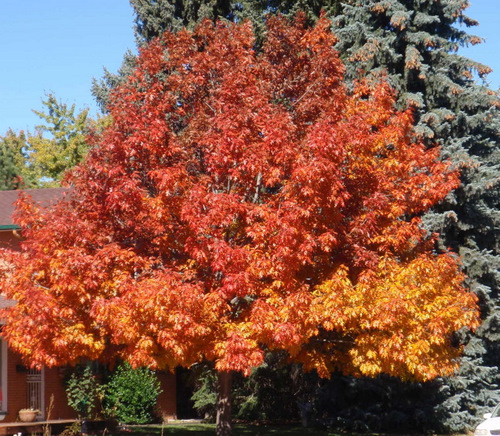 Autumn in Colorado Springs, Colorado.